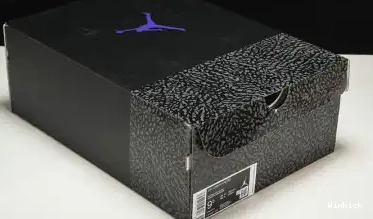Iris Jordan CT8532-105 Air 3 Dark 0604